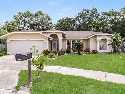 8461 Red Roe Dr, New Port Richey, FL, 34653