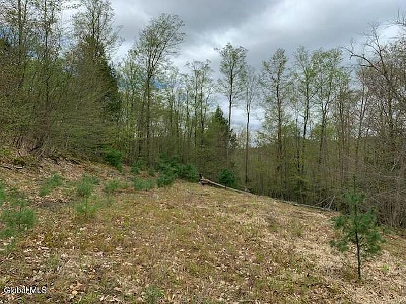 2nd image of L4 Alder Brook Road