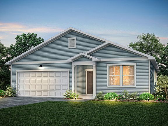 Ibis - TD101 Elevation