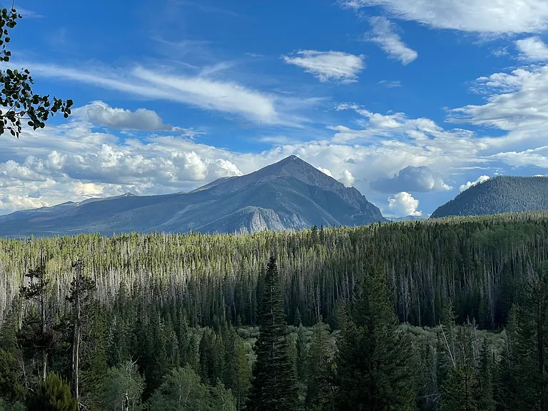 View from the deck in summer