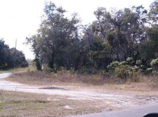 8736 County Road 48, Yalaha, FL 34797