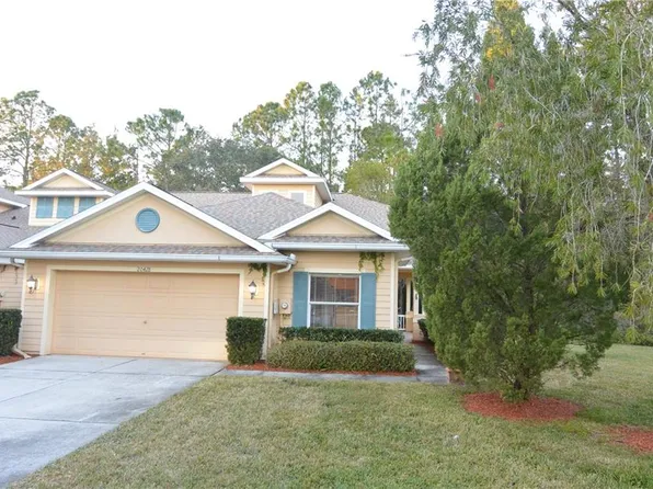 20428 Harvest Oak Ct, Tampa, FL 33647