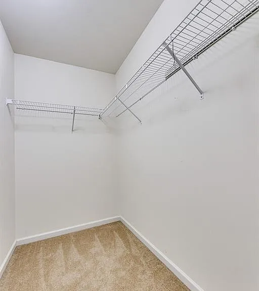 646 Fair Bluff Dr — Photo 29