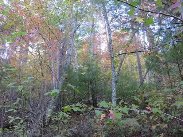 Smithfield Rd, Tellico Plains, TN 37385