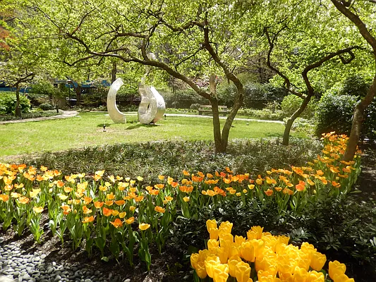 Rented by Douglas Elliman | media 23