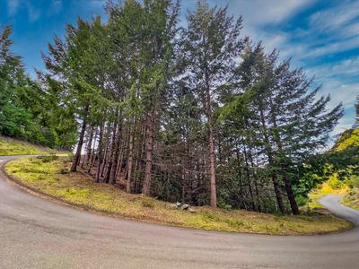 Double Toth Rd Lot 2215 & 2187, Whitethorn, CA, 95589