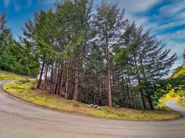 Double Toth Rd Lot 2215 & 2187, Whitethorn, CA 95589