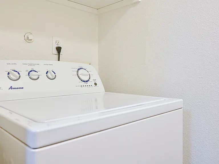 Twin Creeks | In Unit Laundry