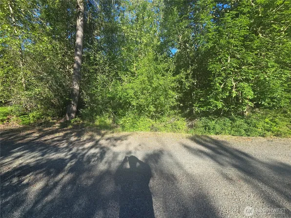 13823 Starflower Lane SE, Yelm, WA 98597