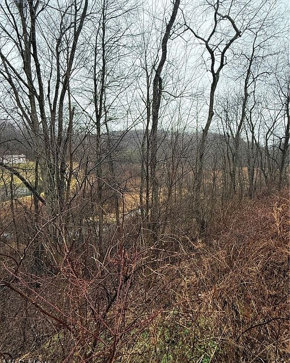 2nd image of 2492 Irish Ridge Rd