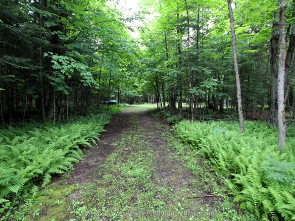 0 Pilgers Rd, Nipissing, ON P0H 1Z0