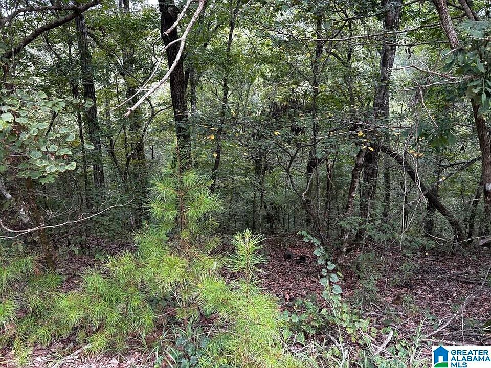 1st image of 63/ACRE Stanley Rd #0