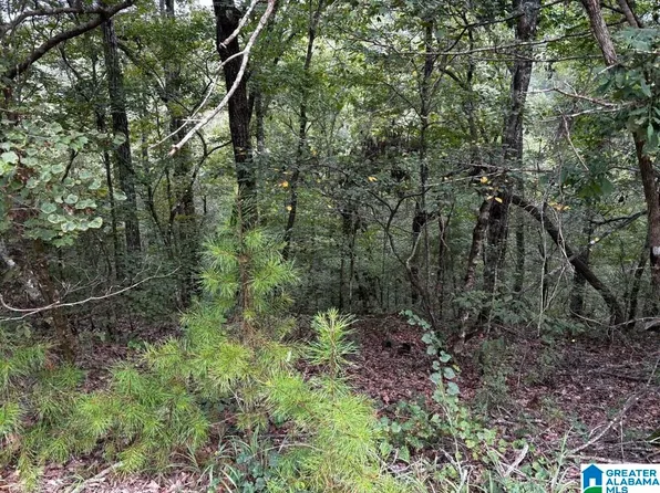 63/ACRE Stanley Rd #0, Brookwood, AL 35444