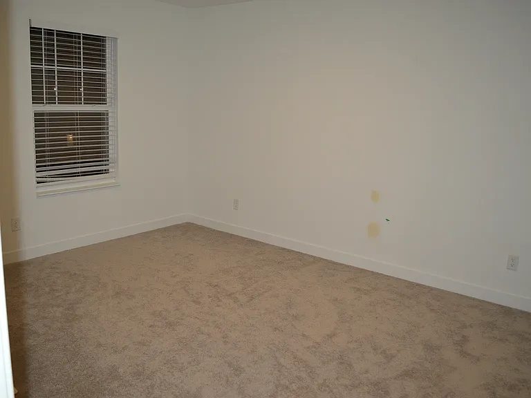 4379 Risen Star Way — Photo 19