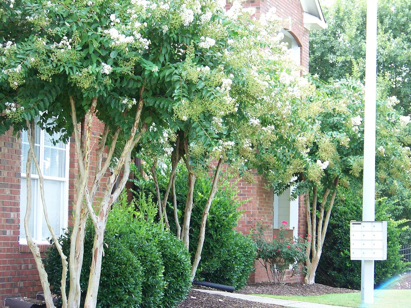 Elk Ridge Of South View Condominums — Photo 3