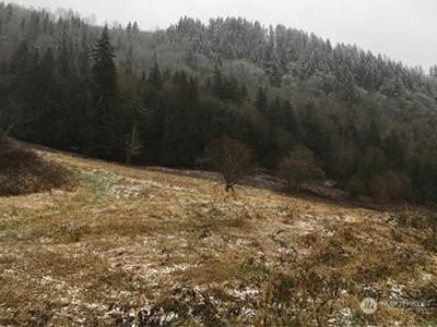 2 XXXX Duvall-Monroe Rd NE, Duvall, WA, 98019