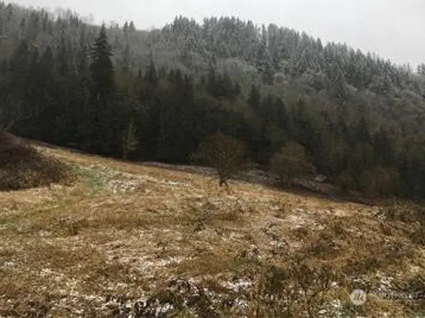 2 XXXX Duvall-Monroe Rd NE, Duvall, WA 98019