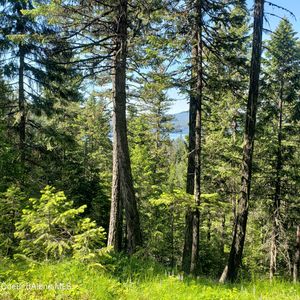 13 Ridgeview Ln, Coolin, ID, 83821