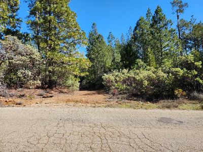 18771 New York Flat Rd, Forbestown, CA, 95941