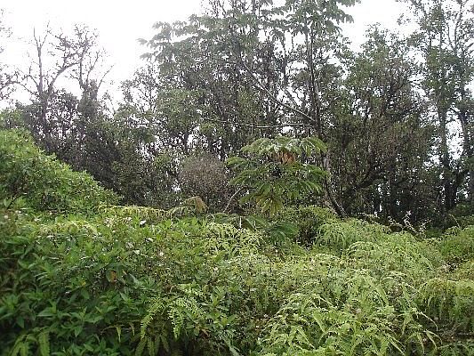 1st image of 13-3454 Maile St Lot 61
