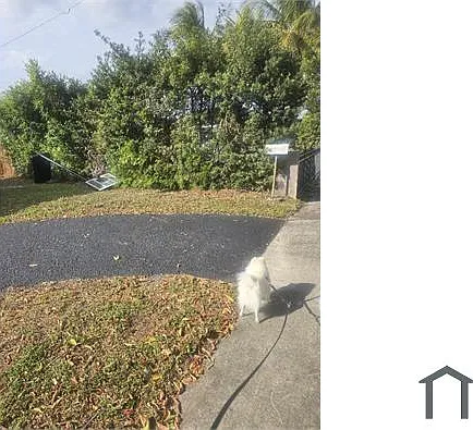 522 N 70th Way — Photo 3