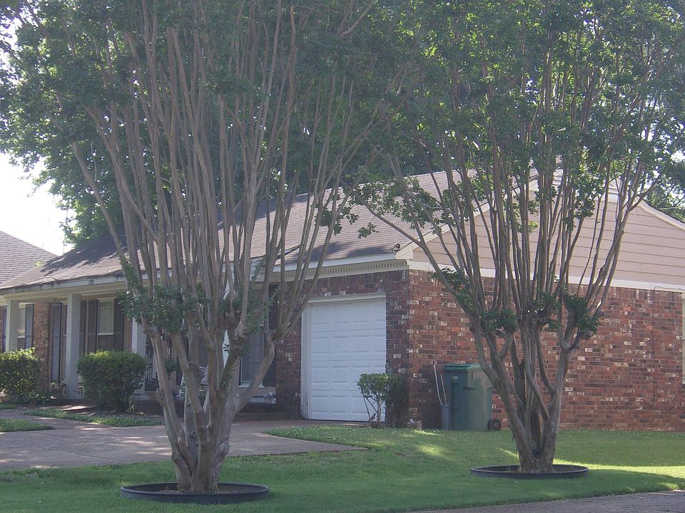 2nd image of 1765 Kilarney Ave