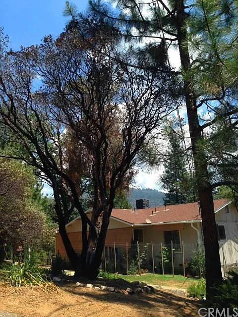 5894 Meadow Ln photo 1