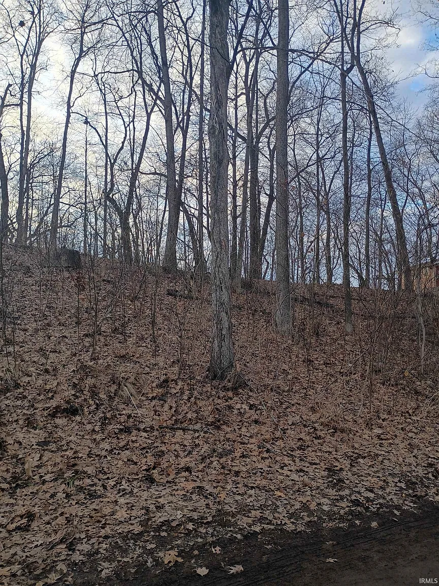 Ln 131 C Turkey Lake Lot 23 photo 1