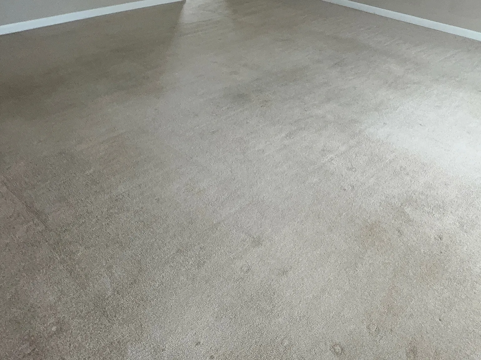 810 Cyndy Ln — Photo 3