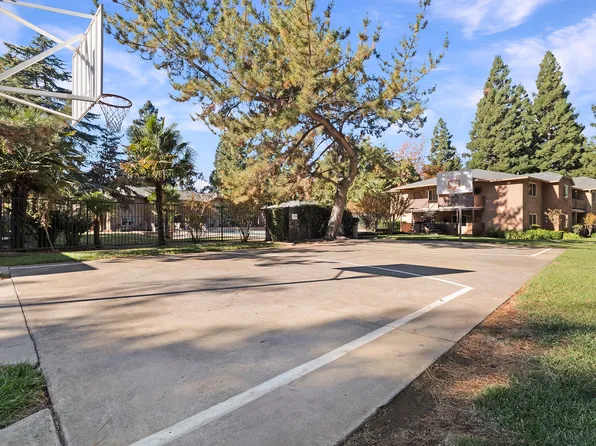 Pine Tree Apartments