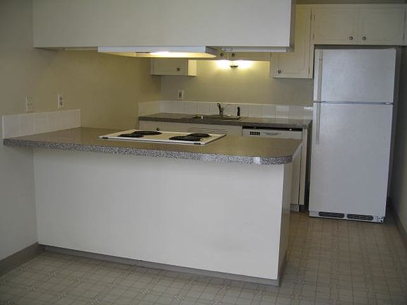 kitchen with vent hood