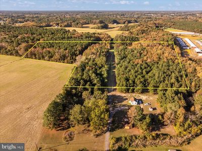 27336 Walnut Tree Rd, Salisbury, MD, 21801