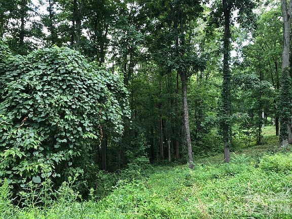 2nd image of 45 Sweet Fern Pkwy #43