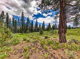 157 Arrowleaf Rd, Portola, CA 96122
