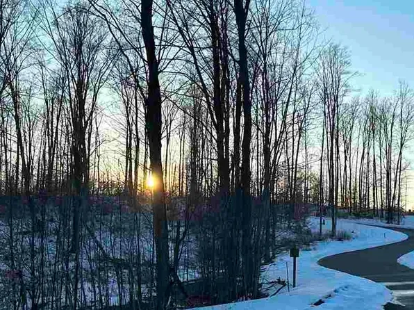 LOT 13 Aspen Ridge Ct, Boyne City, MI 49712