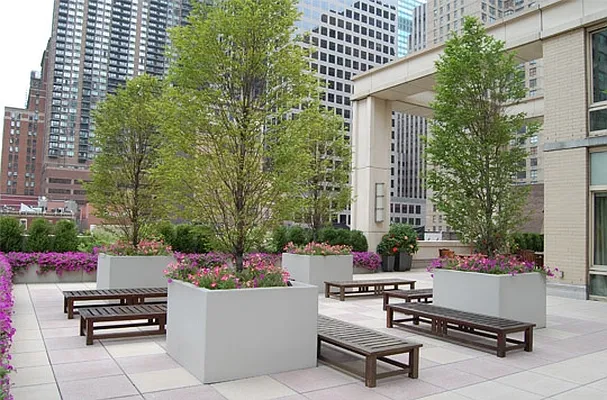 Rented by The Moinian Group | media 14