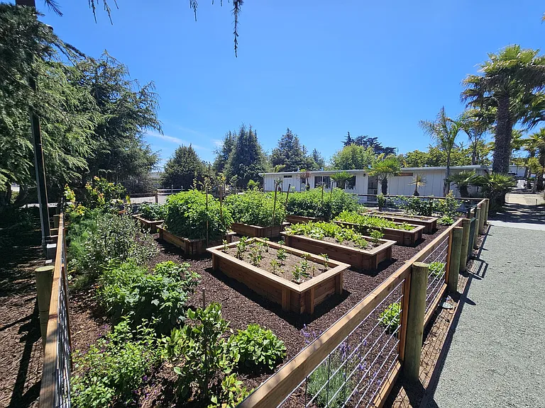 1343 Santa Ynez Ave #1343 — Photo 15