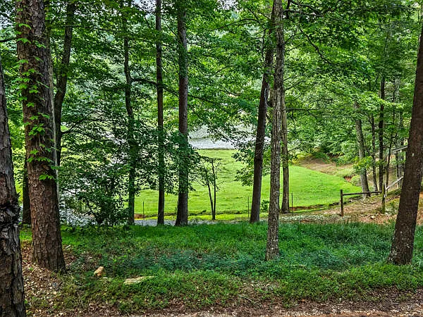 287 Owltown Farm Dr — Photo 40