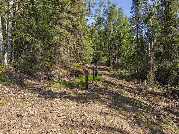 5th image of 2048 Pine Cone Rd