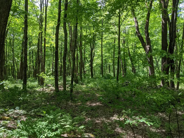 17 Old Homestead Lane, Kent, CT 06757