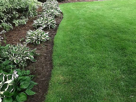 Back yard looking at patio 