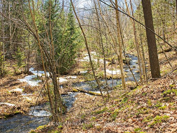 3rd image of 673 Buckshot Lake Rd