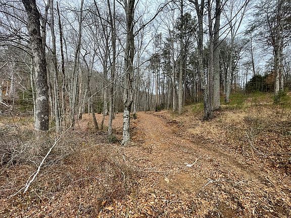 5th image of TBD Chimney Top Trail