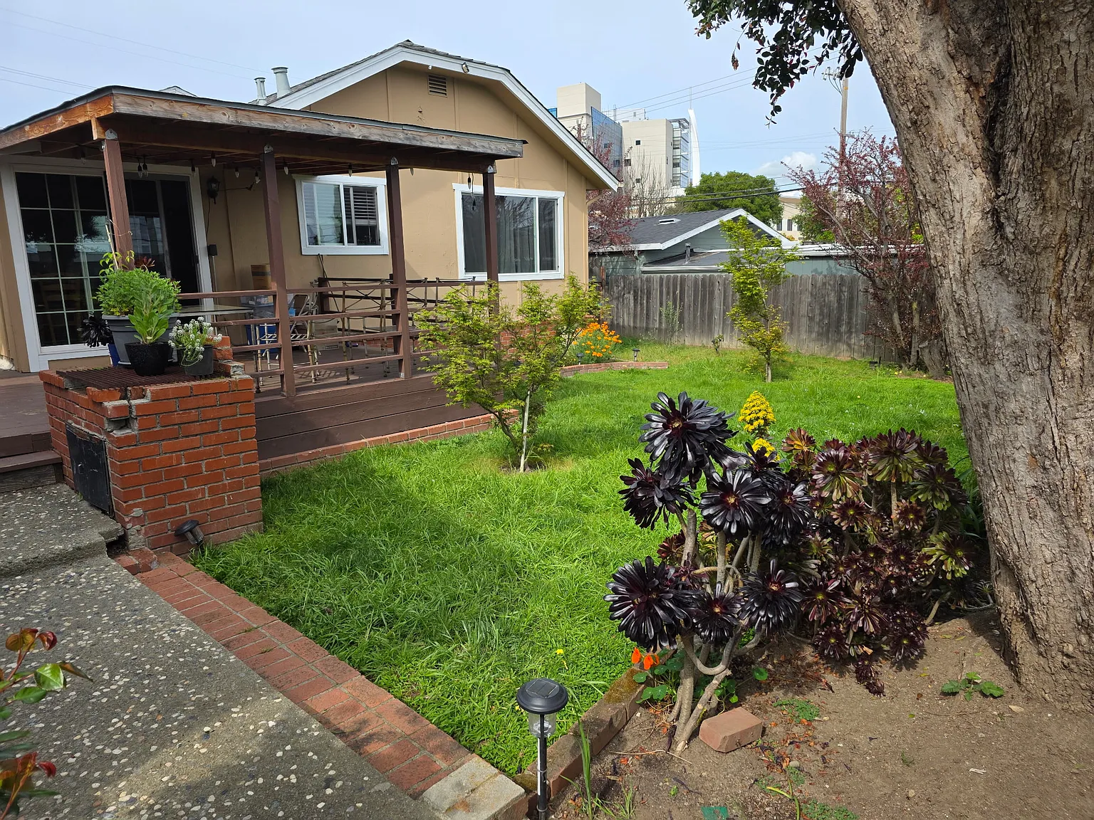 1 bed, 200 sqft, $1,000 — Photo 2