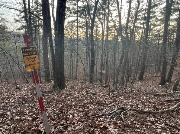 Meadow Park #1223, Jasper, AR 72641