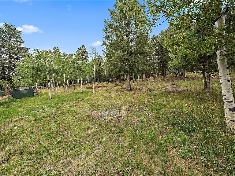 356 Yellow Pine Dr — Photo 29