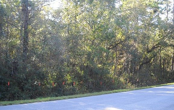 2nd image of TBD County Road 340