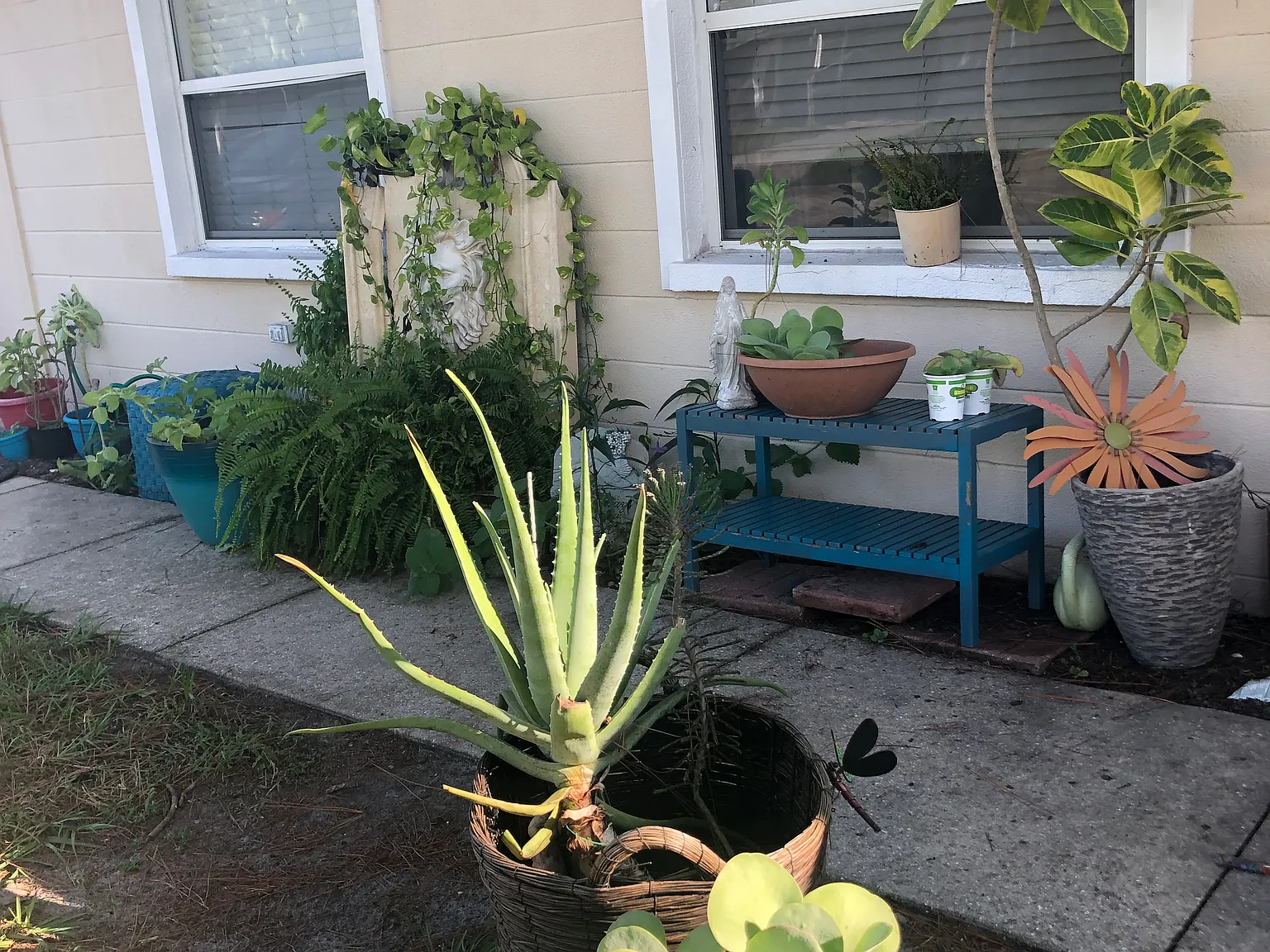 2034 Kai Dr — Photo 2