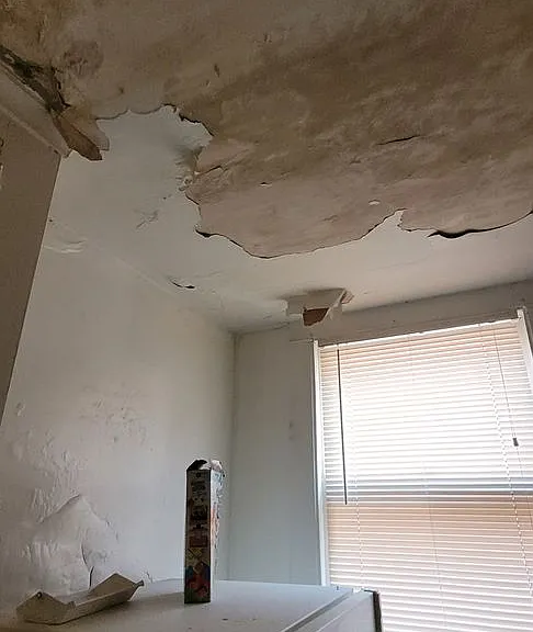 222 Grant Ave — Photo 15