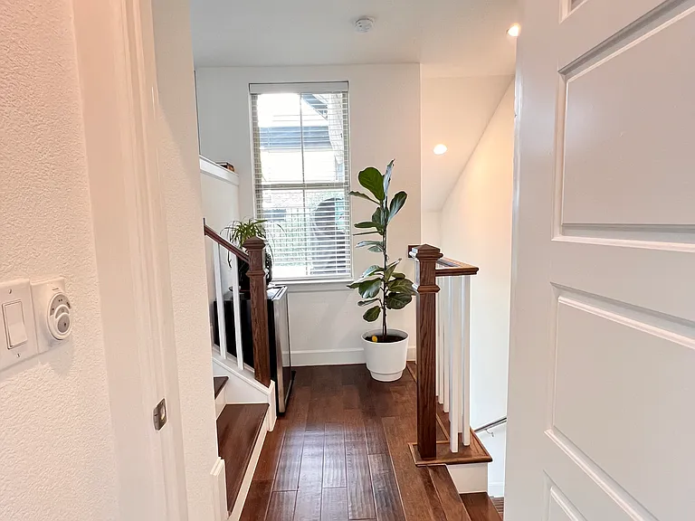 2705 Yellow Jasmine Ln — Photo 25